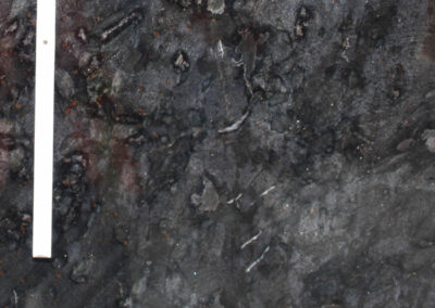 Galapagos - Granite (Closeup)