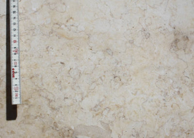 Jerusalem Gold - Limestone (Closeup)