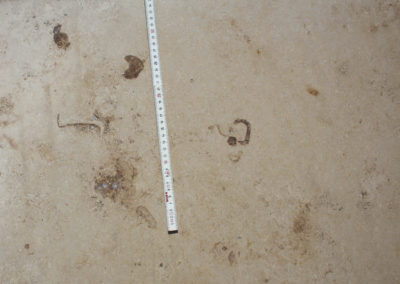 Jura Beige - Limestone (Closeup)