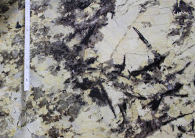 Original Treasure - Granite (Closeup)