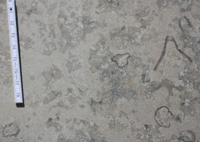 Jura Grey - Limestone (Closeup)