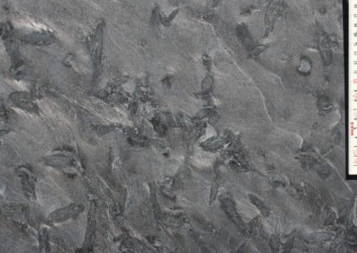 Matrix (Leather) - Granite (Closeup)