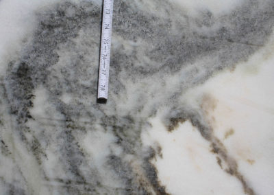 Northern Calacatta - Marble (Closeup)