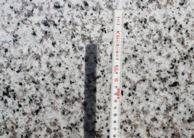 Paris White - Granite (Closeup)