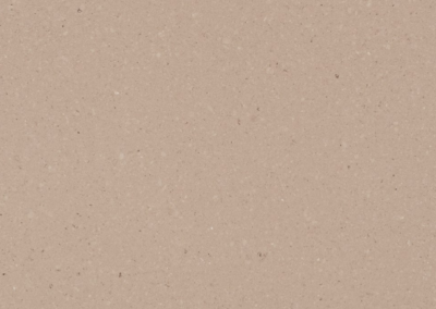 Shitake - Caesarstone - Quartz