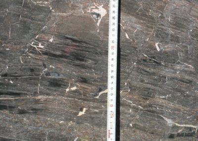 Timber Brown - Natural Quartzite (Closeup)