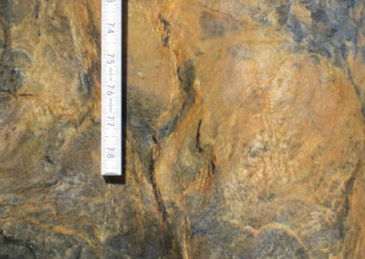 Fusion - Natural Quartzite (Closeup)